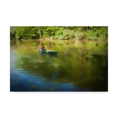 Anthony Paladino 'Kayaker In Swamp' Canvas Art,22x32